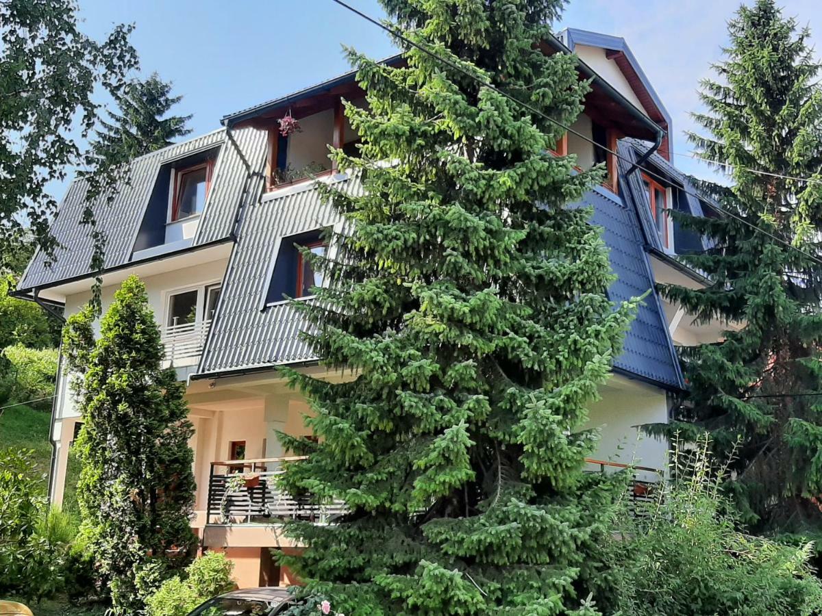 Guesthouse Hill Sarajevo Ngoại thất bức ảnh