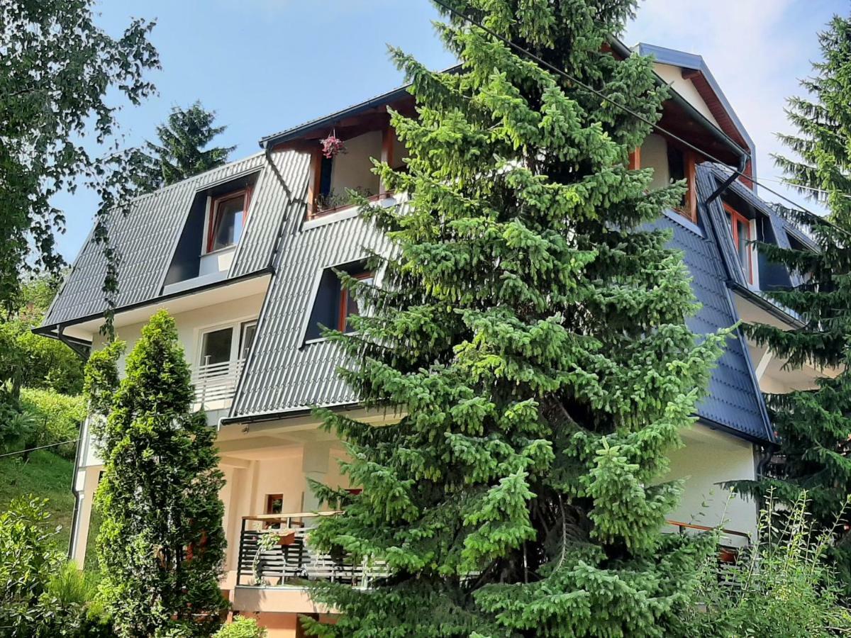 Guesthouse Hill Sarajevo Ngoại thất bức ảnh