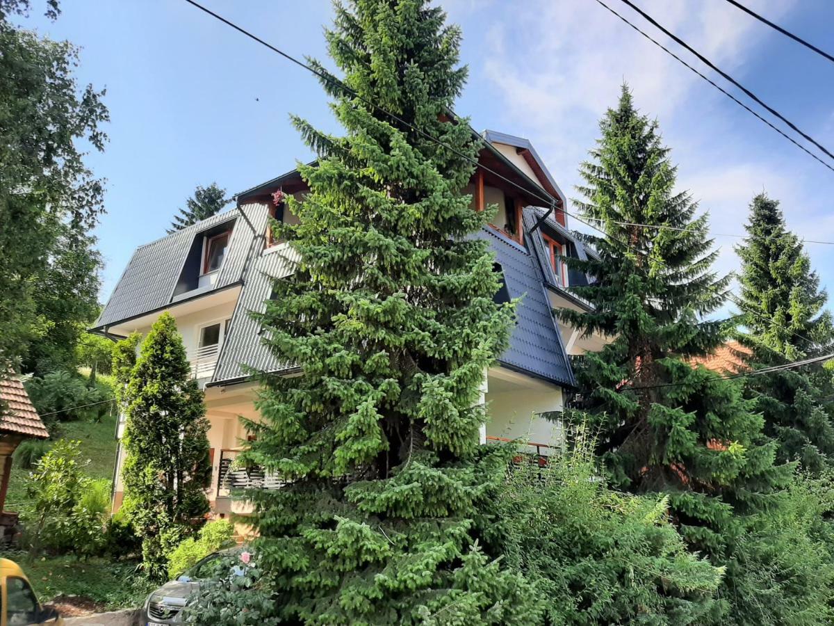 Guesthouse Hill Sarajevo Ngoại thất bức ảnh